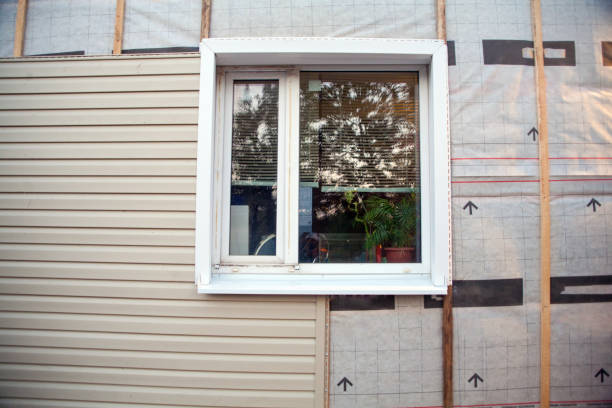 Best Steel Siding Installation  in Brookwood, AL