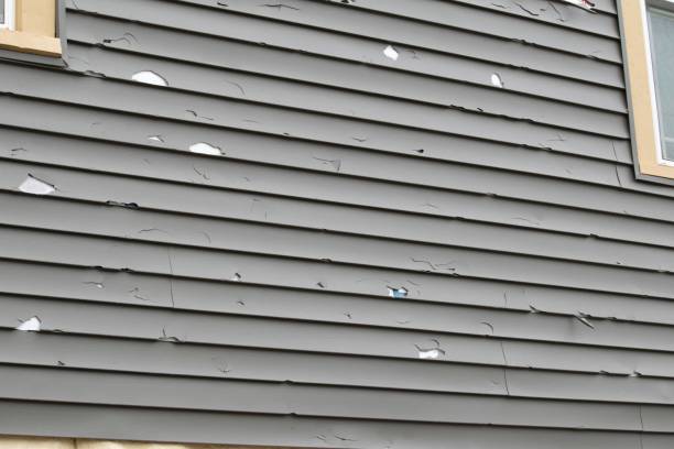 Reliable Brookwood, AL Siding Installation & Repair Solutions