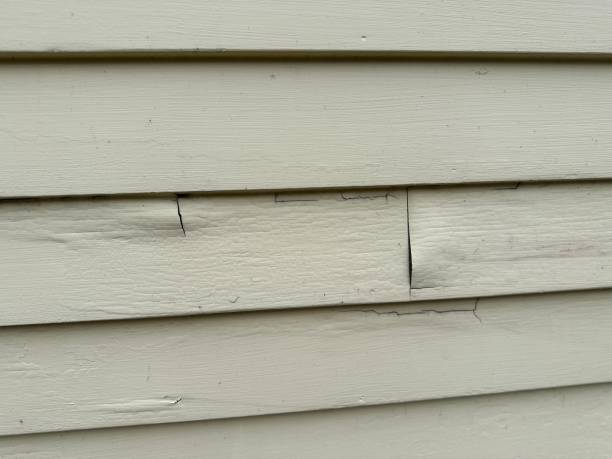 Best Stone Veneer Siding  in Brookwood, AL